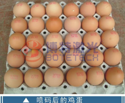 鸡蛋可以用激光喷码机吗？